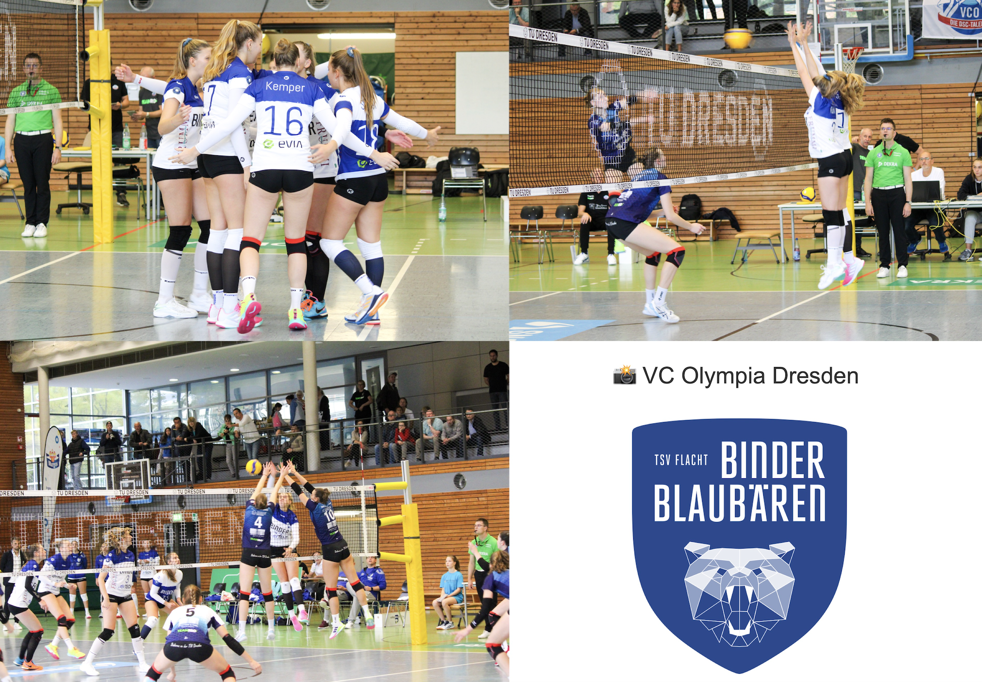 SPIELBERICHT Binder Blaubären TSV Flacht